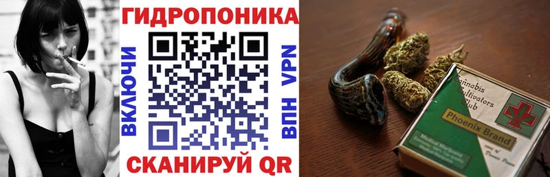 Наркотические вещества Сусуман Псилоцибиновые грибы  ГАШИШ  КОКАИН 
