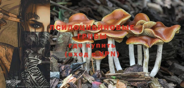 прущий лед Нягань