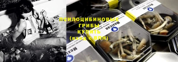 эйфоретик Нязепетровск
