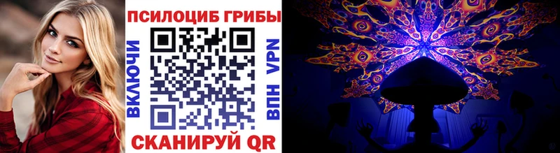 Псилоцибиновые грибы Psilocybe  Сусуман 