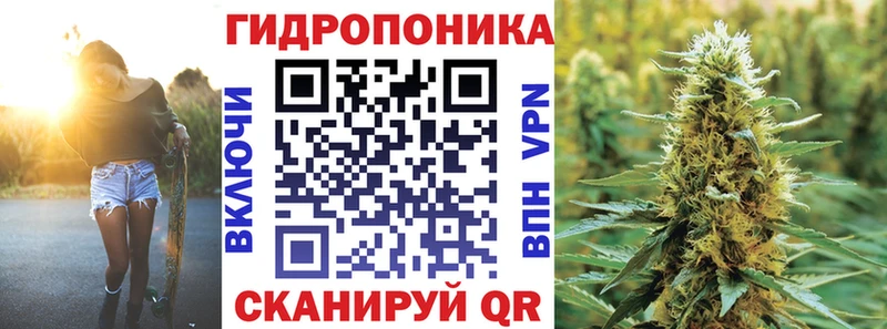 МАРИХУАНА план  Сусуман 